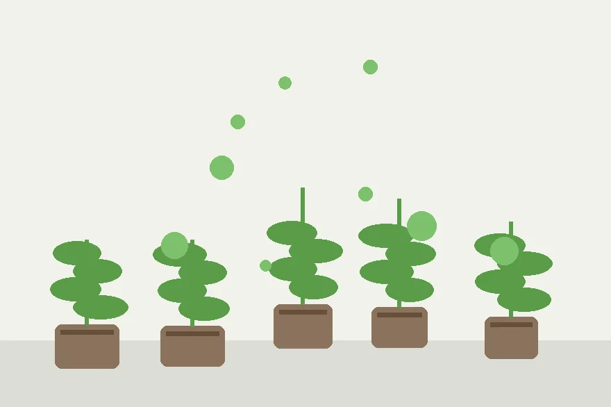 Aftercare for New Roots: The First Week After Potting Up