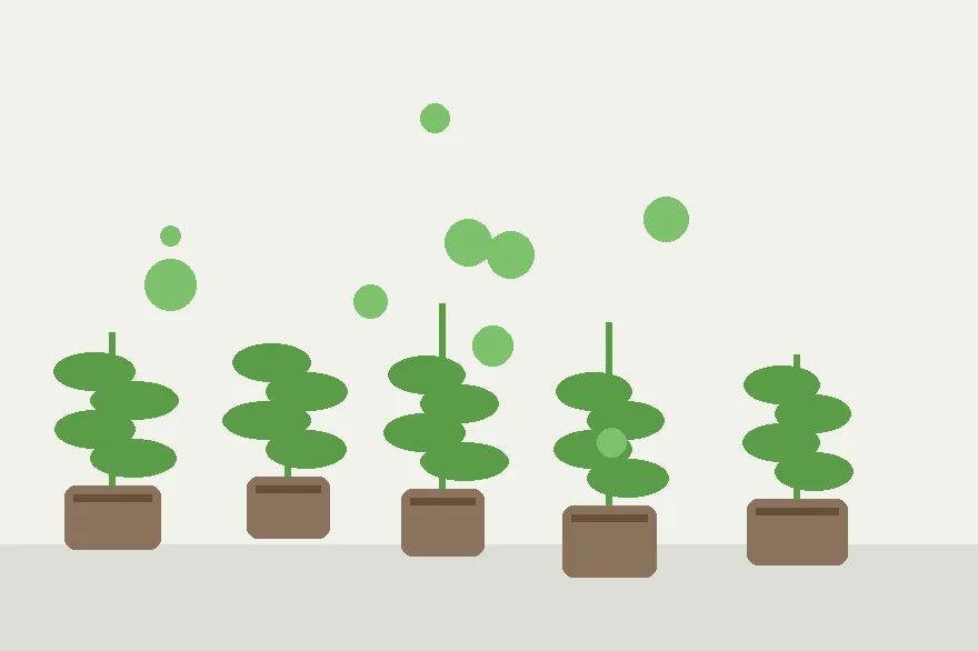 How to Choose the Right Node on a Stem Cutting