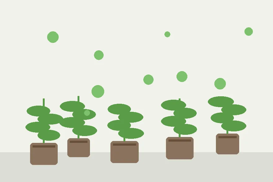 A Rescue Plan for Wilting Cuttings Before You Throw Them Away